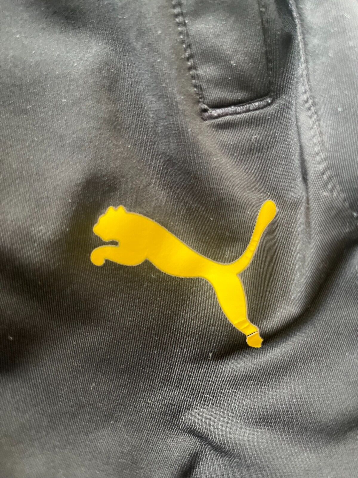 Borussia Dortmund Football Training Pants Trousers Puma Size Men XXL